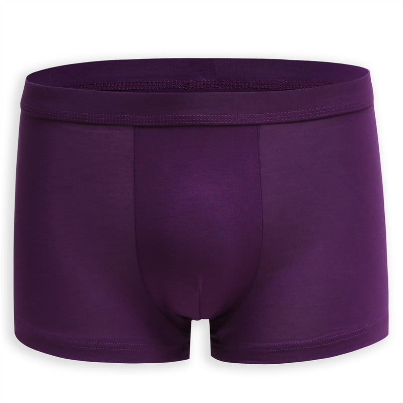 Tom – Ademend Korte Broek in Middelhoge Taille