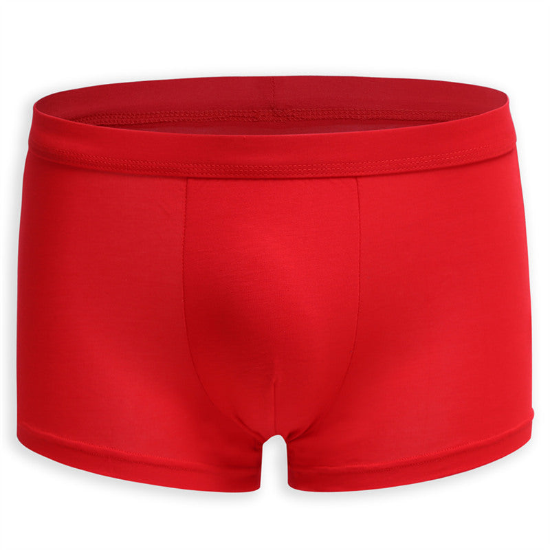 Tom – Ademend Korte Broek in Middelhoge Taille