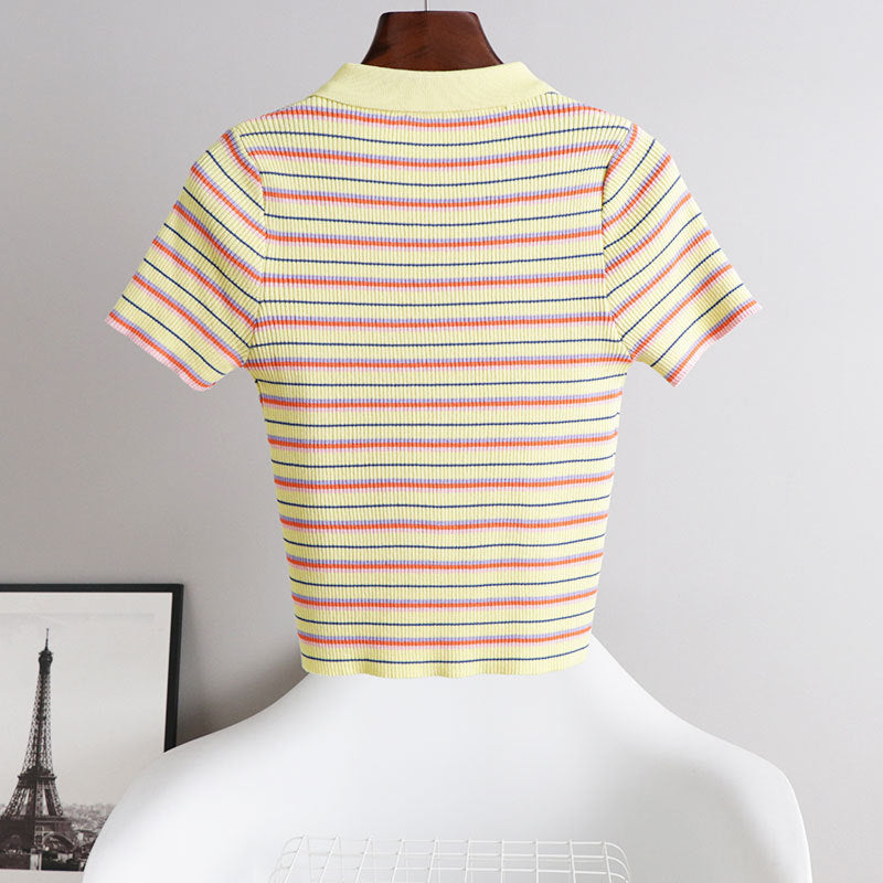 Damien – Gestreept Polo T-Shirt met Korte Mouwen